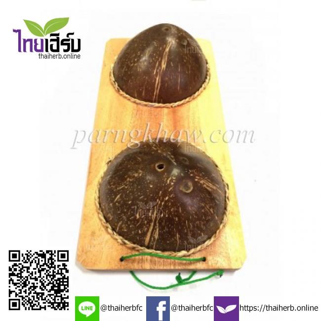 กะลานวดเท้าคู่(ต้น) by Thaiherb.Online (ไทยเฮิร์บออนไลน์)